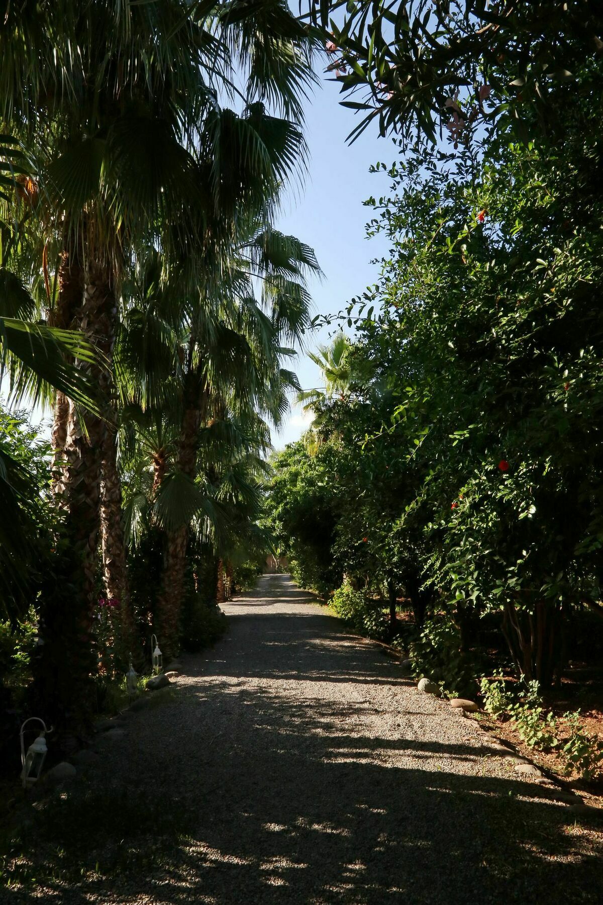 Le Bled Ferme Bed & Breakfast Lahebichate Exterior photo
